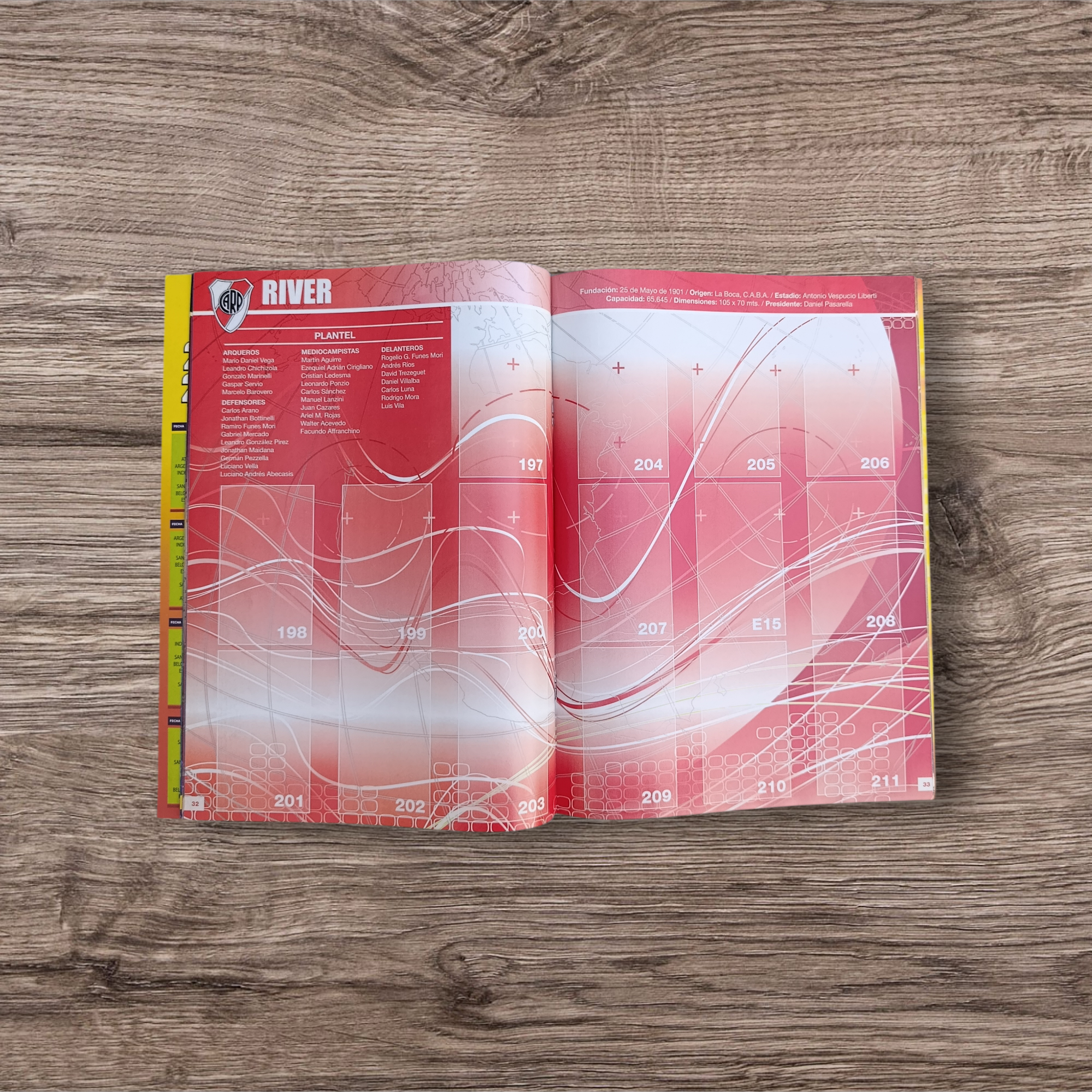 Álbum vacío Torneo Inicial 202-2013