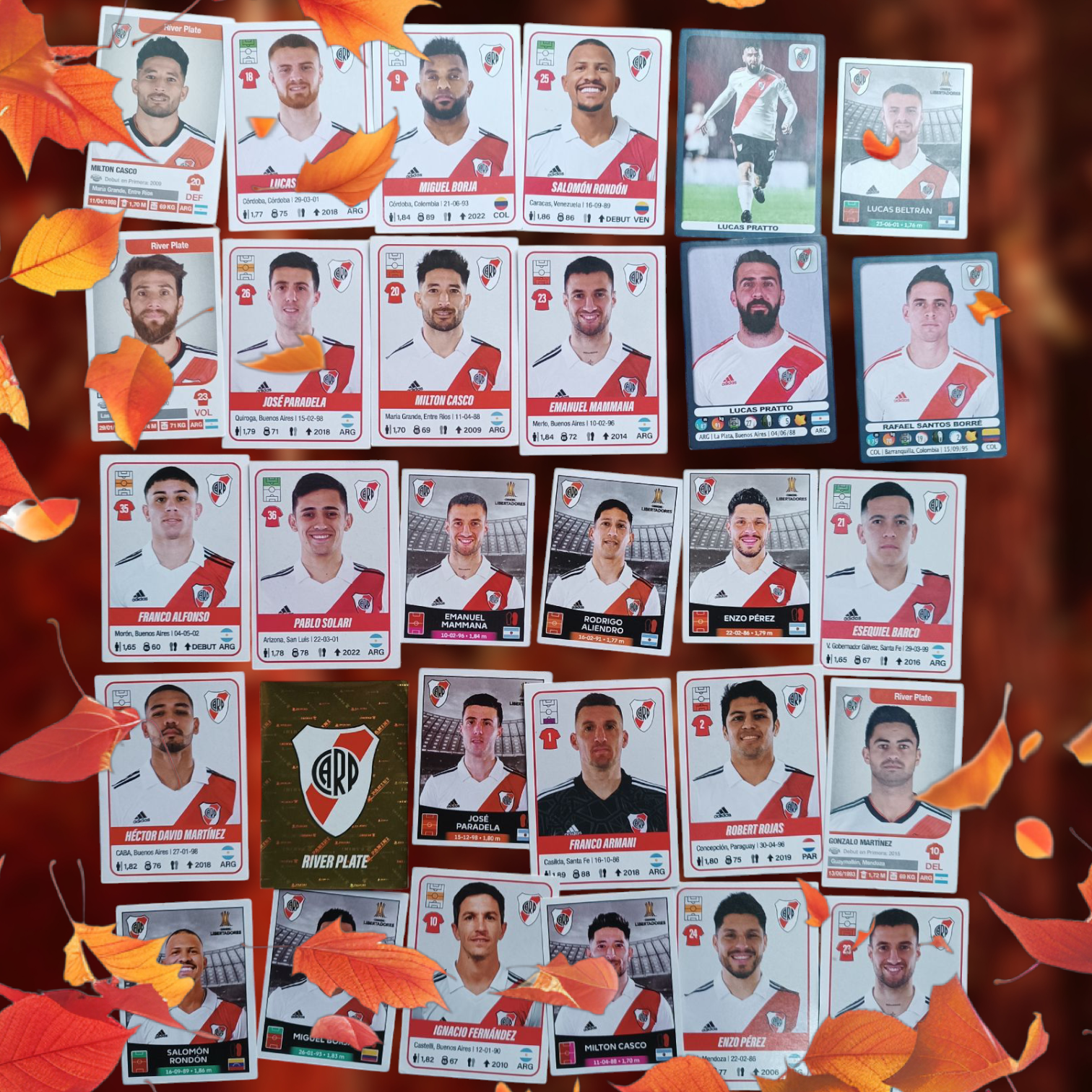 Lote 30 figuritas River Plate