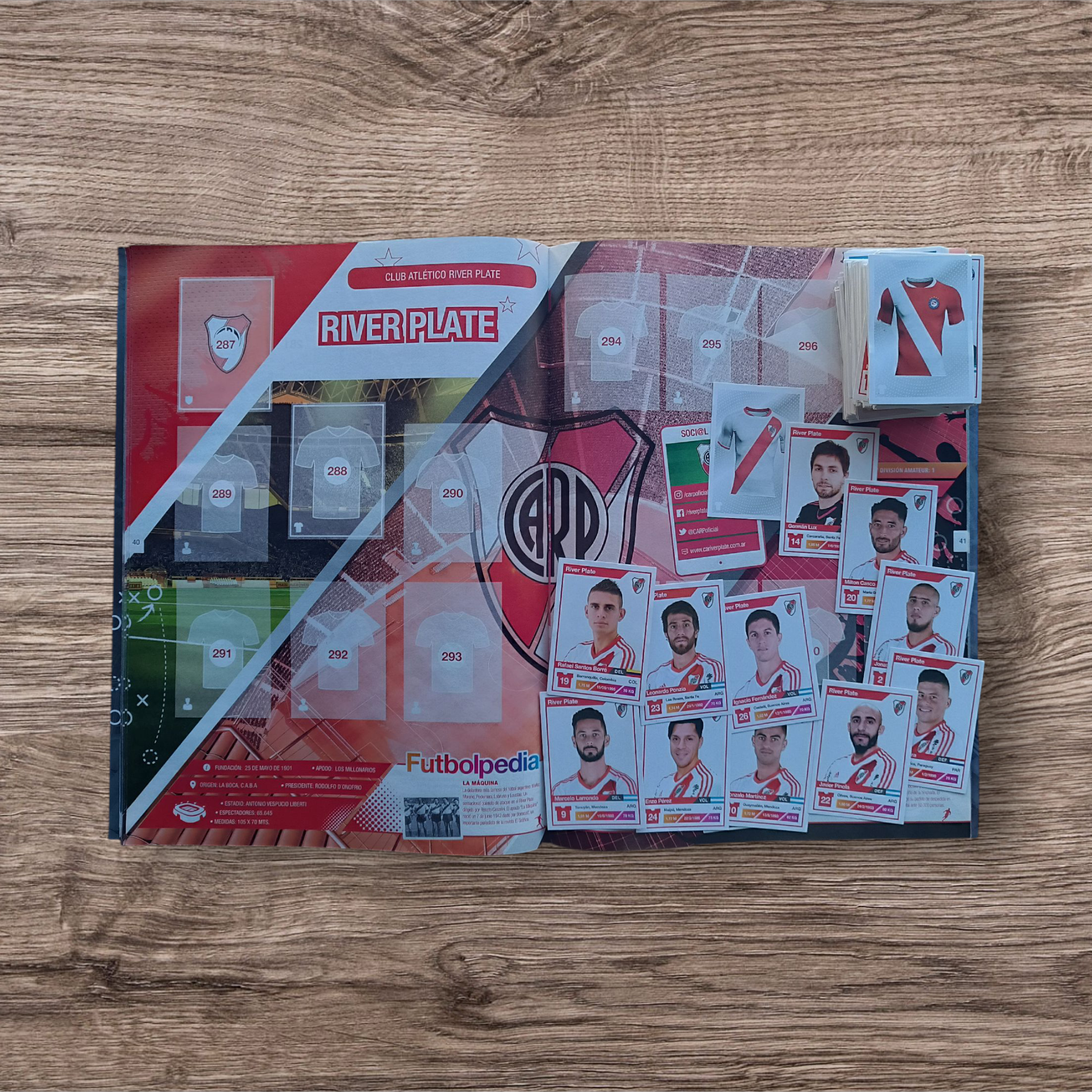 Álbum + 313 figuritas sin repetir Fútbol Argentino 2017/2018